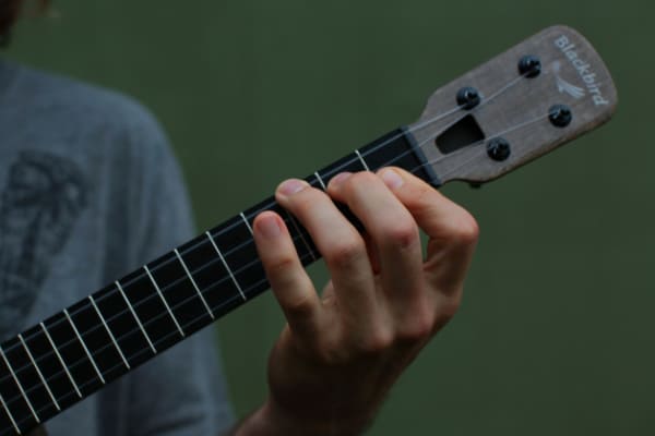 how to hold an ukulele with the fretting hand