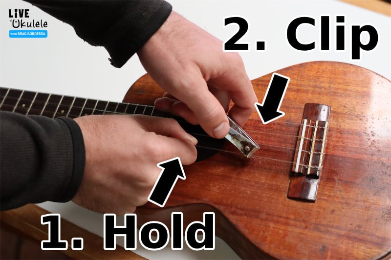 infographic showing hold to cut ukulele string at full tension