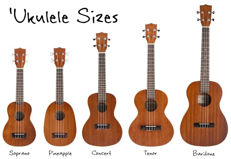 ukulele size chart